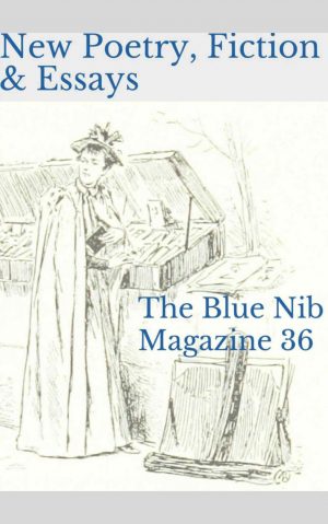 The BlueNib Magazine - Issue 36